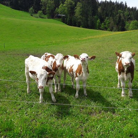 Bio-Bauernhof Niederlehen Villa Fieberbrunn Bagian luar foto